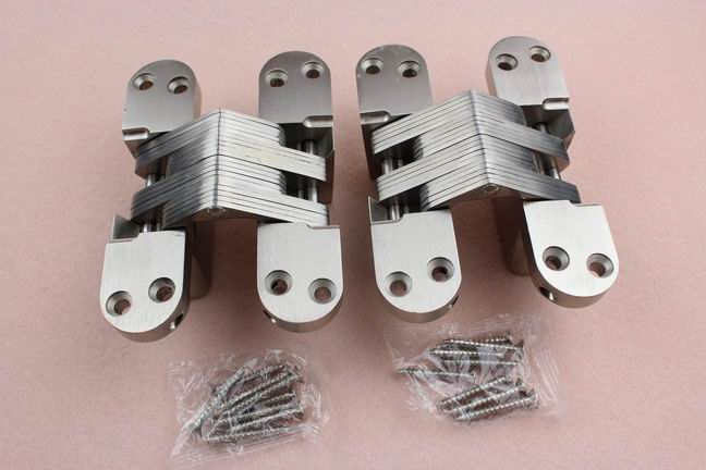 50 kg capacity Heavy duty door zinc alloy concealed hinge